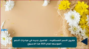 ملايين الأسر المستفيدة.. تفاصيل جديدة في مبادرات الدعم الموسعة لعام 2025 هذا الأسبوع